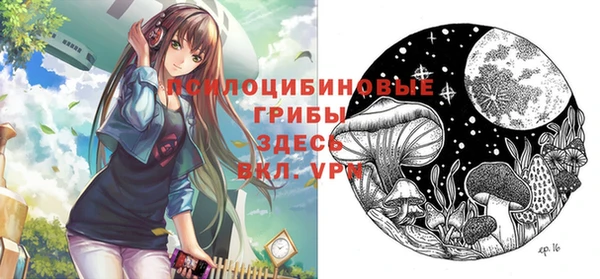ALPHA-PVP Зеленокумск