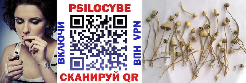 как найти закладки Урень Галлюциногенные грибы MAGIC MUSHROOMS